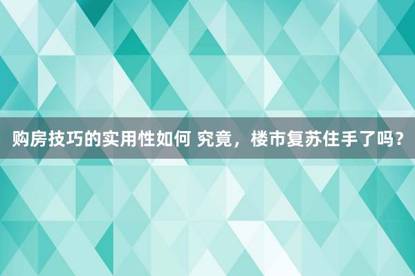 购房技巧的实用性如何 究竟，楼市复苏住手了吗？