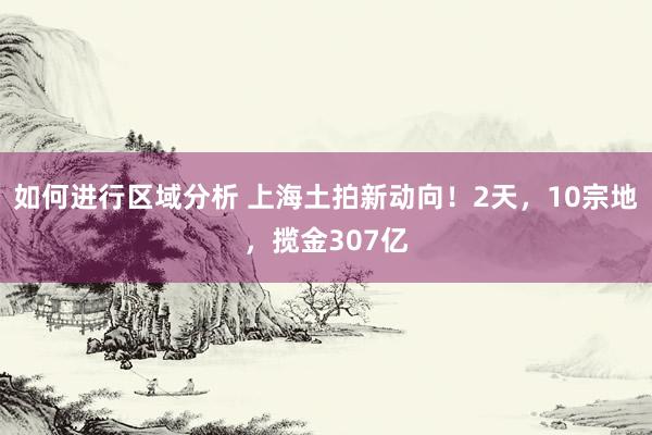 如何进行区域分析 上海土拍新动向！2天，10宗地，揽金307亿