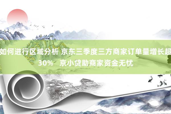 如何进行区域分析 京东三季度三方商家订单量增长超30%   京小贷助商家资金无忧