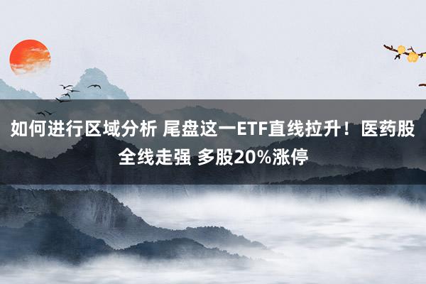 如何进行区域分析 尾盘这一ETF直线拉升！医药股全线走强 多股20%涨停