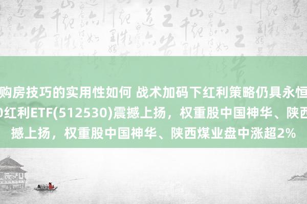 购房技巧的实用性如何 战术加码下红利策略仍具永恒投资价值 沪深300红利ETF(512530)震撼上扬，权重股中国神华、陕西煤业盘中涨超2%