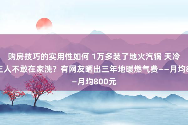 购房技巧的实用性如何 1万多装了地火汽锅 天冷连澡王人不敢在家洗？有网友晒出三年地暖燃气费——月均800元