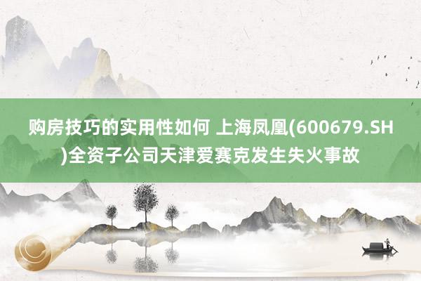 购房技巧的实用性如何 上海凤凰(600679.SH)全资子公司天津爱赛克发生失火事故