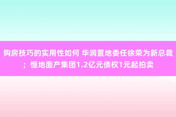 购房技巧的实用性如何 华润置地委任徐荣为新总裁；恒地面产集团1.2亿元债权1元起拍卖