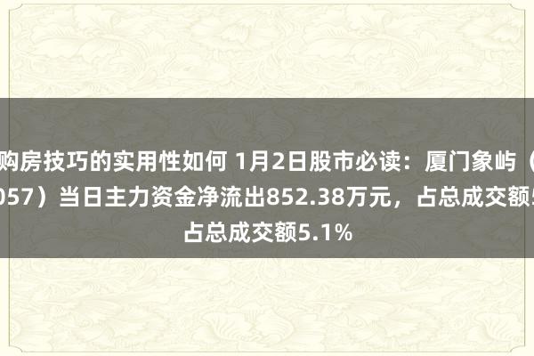 购房技巧的实用性如何 1月2日股市必读：厦门象屿（600057）当日主力资金净流出852.38万元，占总成交额5.1%