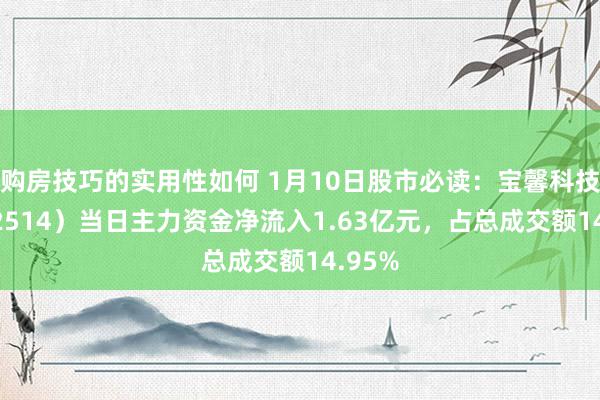 购房技巧的实用性如何 1月10日股市必读：宝馨科技（002514）当日主力资金净流入1.63亿元，占总成交额14.95%