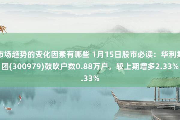 市场趋势的变化因素有哪些 1月15日股市必读：华利集团(300979)鼓吹户数0.88万户，较上期增多2.33%