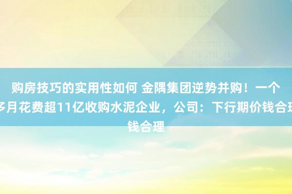 购房技巧的实用性如何 金隅集团逆势并购！一个多月花费超11亿收购水泥企业，公司：下行期价钱合理