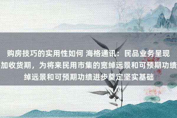 购房技巧的实用性如何 海格通讯：民品业务呈现较快增长，缓缓参加收货期，为将来民用市集的宽绰远景和可预期功绩进步奠定坚实基础