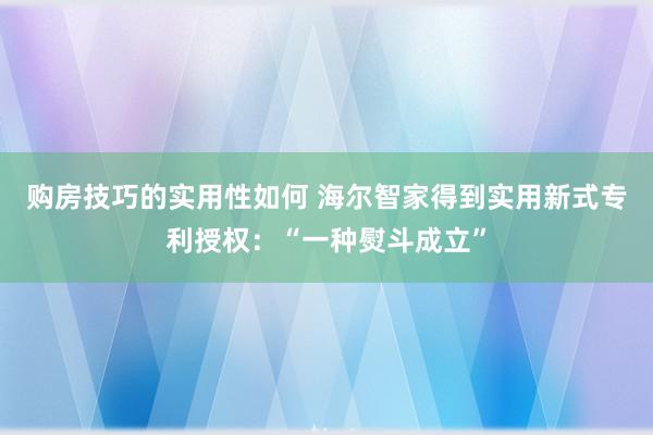 购房技巧的实用性如何 海尔智家得到实用新式专利授权：“一种熨斗成立”