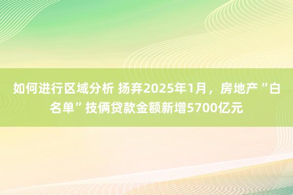 如何进行区域分析 扬弃2025年1月，房地产“白名单”技俩贷款金额新增5700亿元