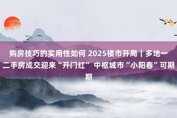 购房技巧的实用性如何 2025楼市开局｜多地一二手房成交迎来“开门红” 中枢城市“小阳春”可期