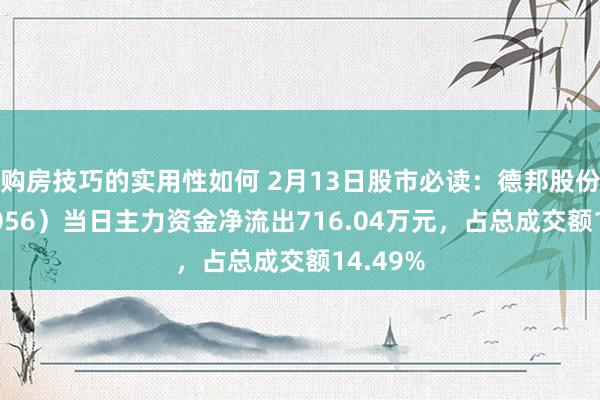 购房技巧的实用性如何 2月13日股市必读：德邦股份（603056）当日主力资金净流出716.04万元，占总成交额14.49%