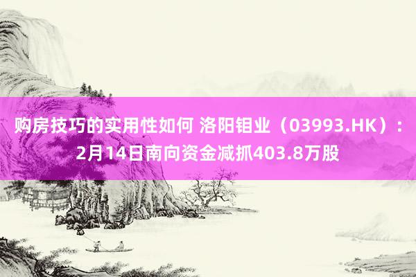 购房技巧的实用性如何 洛阳钼业（03993.HK）：2月14日南向资金减抓403.8万股