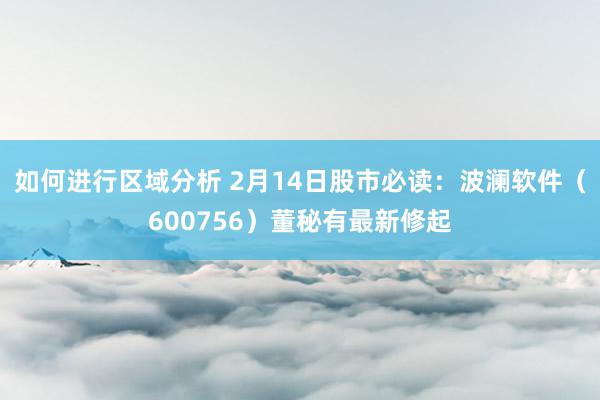 如何进行区域分析 2月14日股市必读：波澜软件（600756）董秘有最新修起