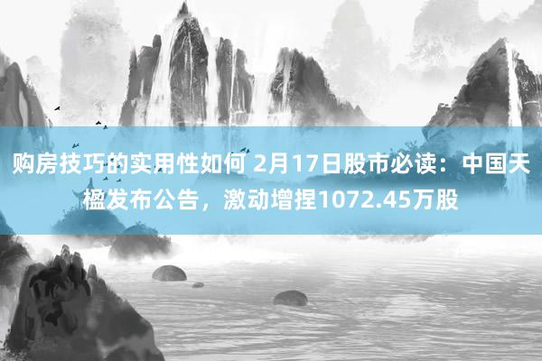 购房技巧的实用性如何 2月17日股市必读：中国天楹发布公告，激动增捏1072.45万股