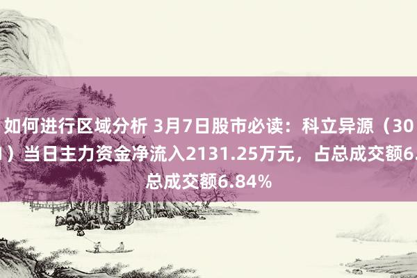 如何进行区域分析 3月7日股市必读：科立异源（300731）当日主力资金净流入2131.25万元，占总成交额6.84%