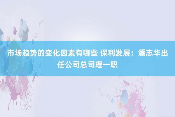 市场趋势的变化因素有哪些 保利发展：潘志华出任公司总司理一职