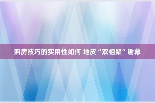 购房技巧的实用性如何 地皮“双相聚”谢幕